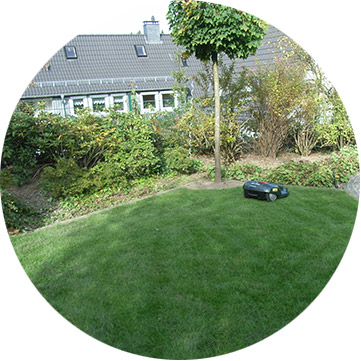 Rasenanlagen Garten Bosman